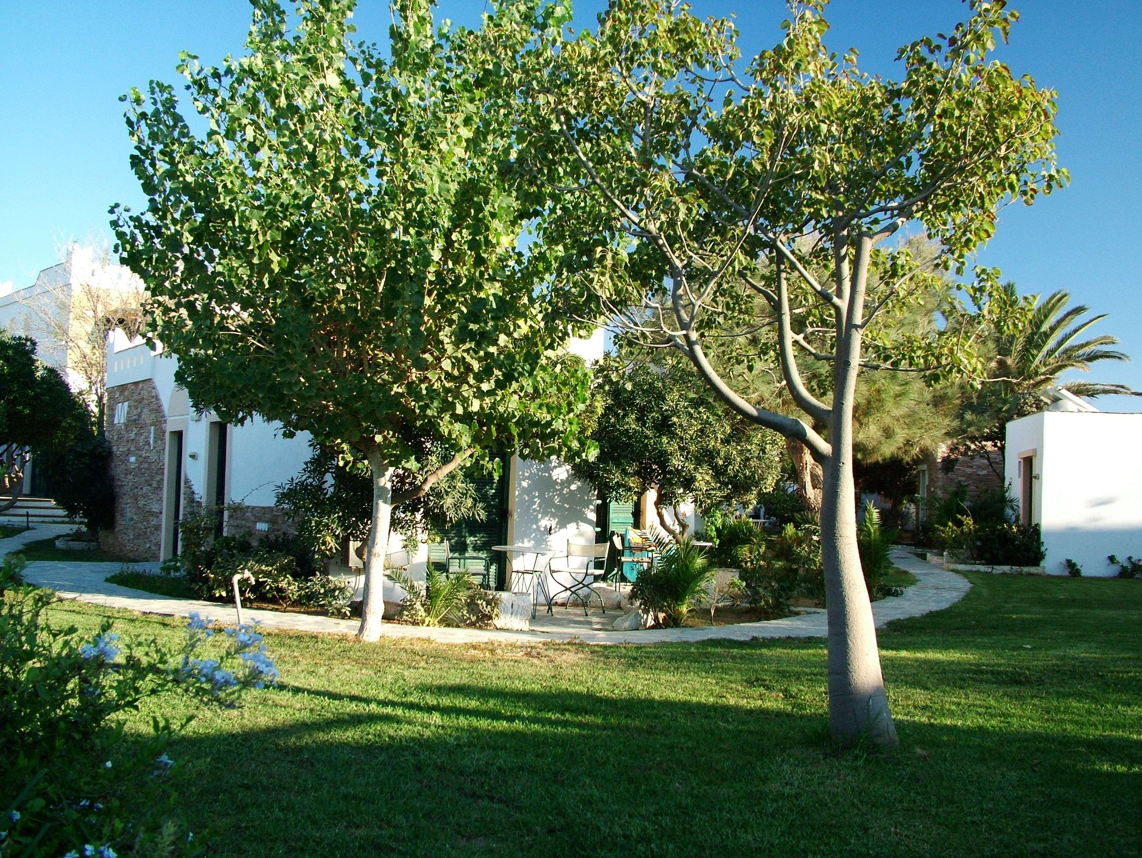 Hotel Naxos Beach Naxos City Exterior photo