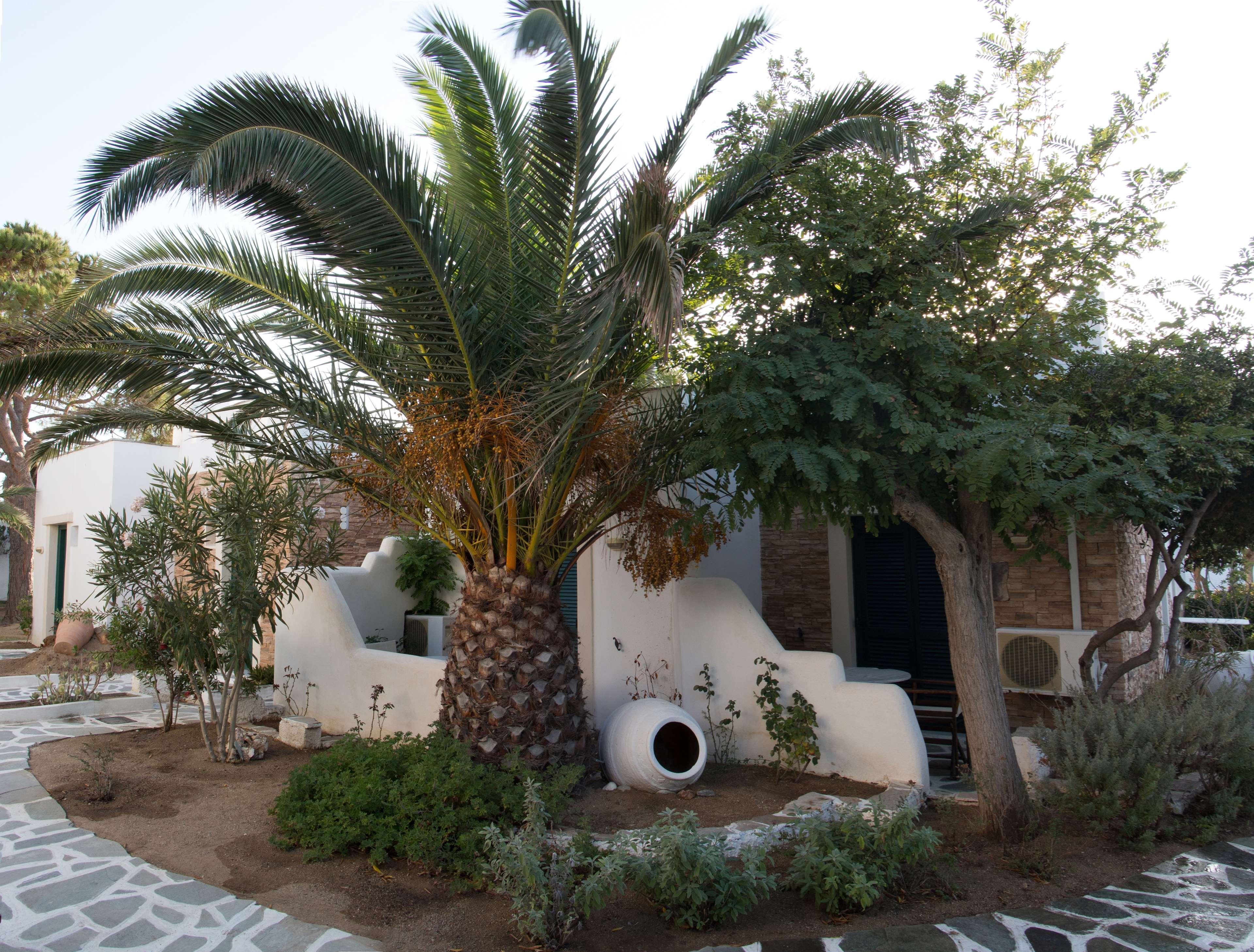 Hotel Naxos Beach Naxos City Exterior photo